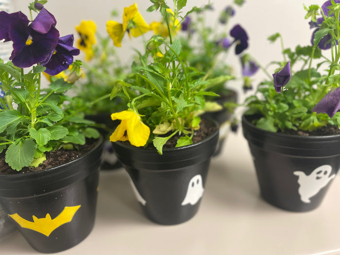 Halloween Flower Pots