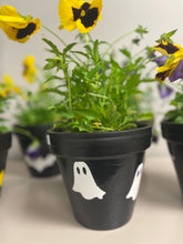 Load image into Gallery viewer, Halloween Flower Pots