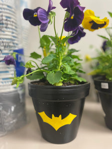 Halloween Flower Pots